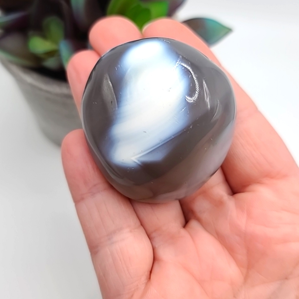 Orca Agate Palm Stone A